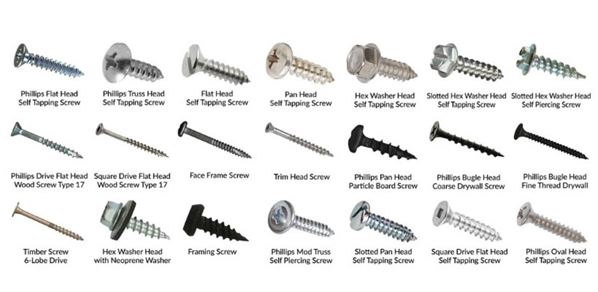 China Manufacturer Fastners15